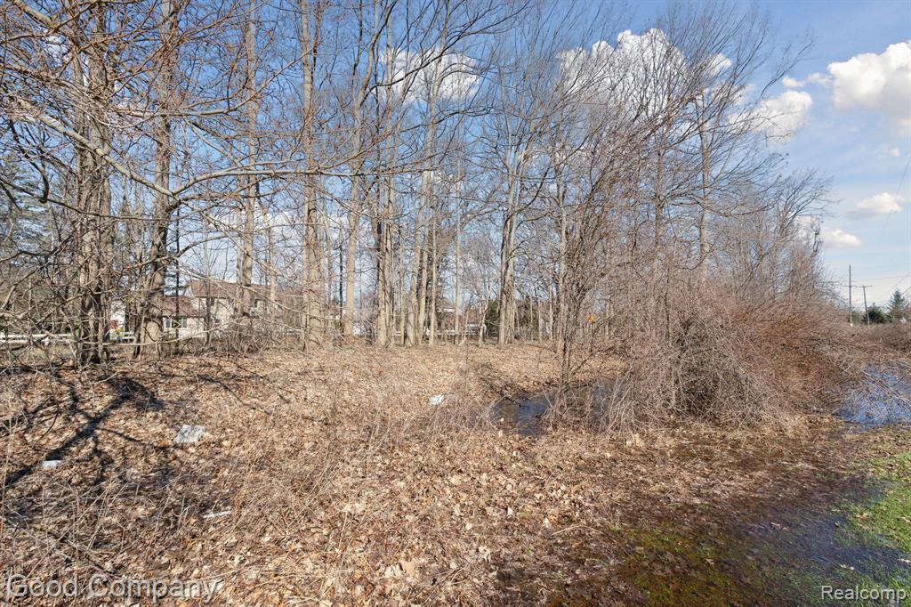 0 Orion Road Lake Orion, MI 48362 - Photo 6 of 13