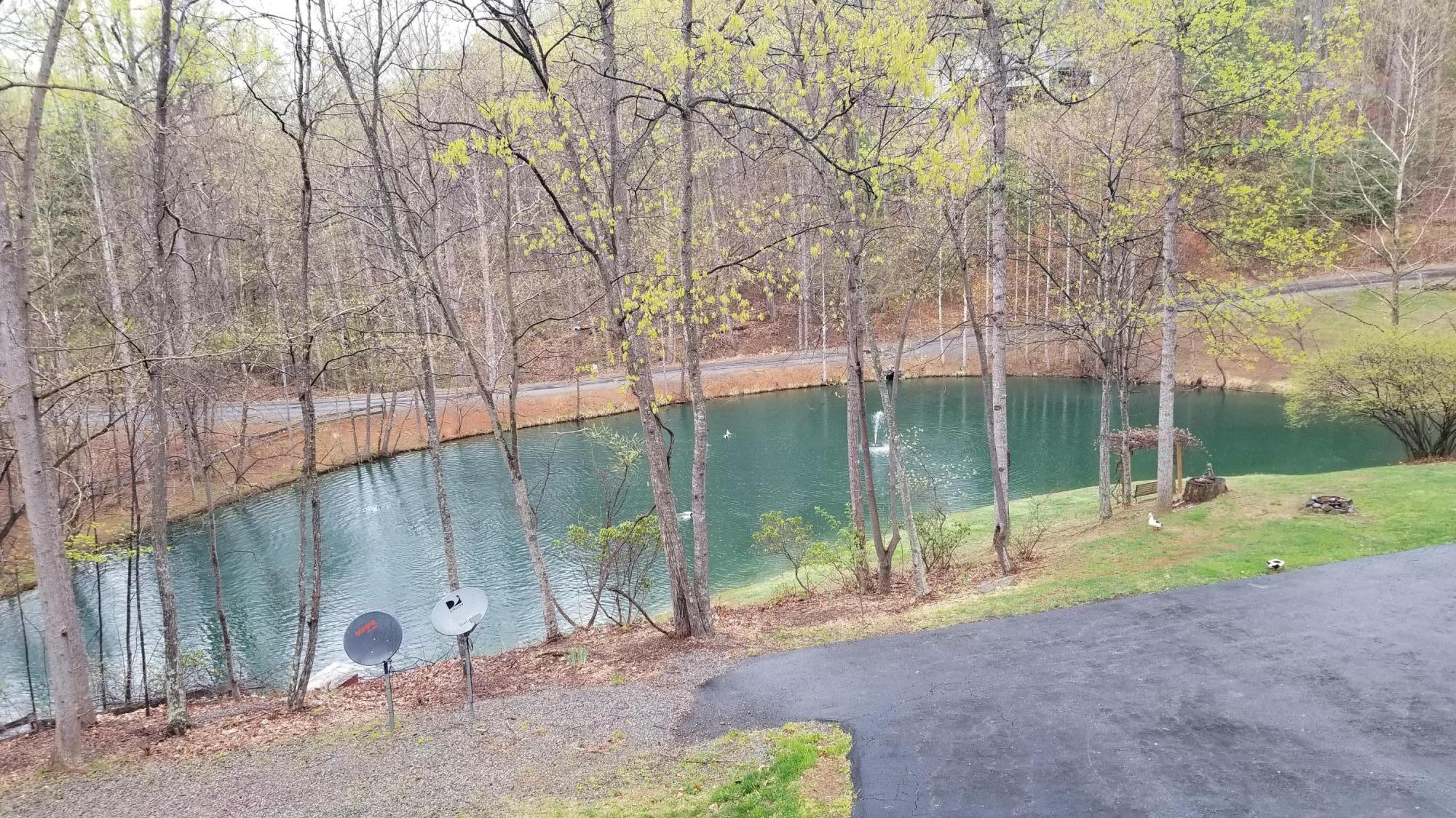 181 Silver Shadow Road Hardy, VA 24101 - Photo 2 of 47 a backyard of a house with portable swimming pool and outdoor seating