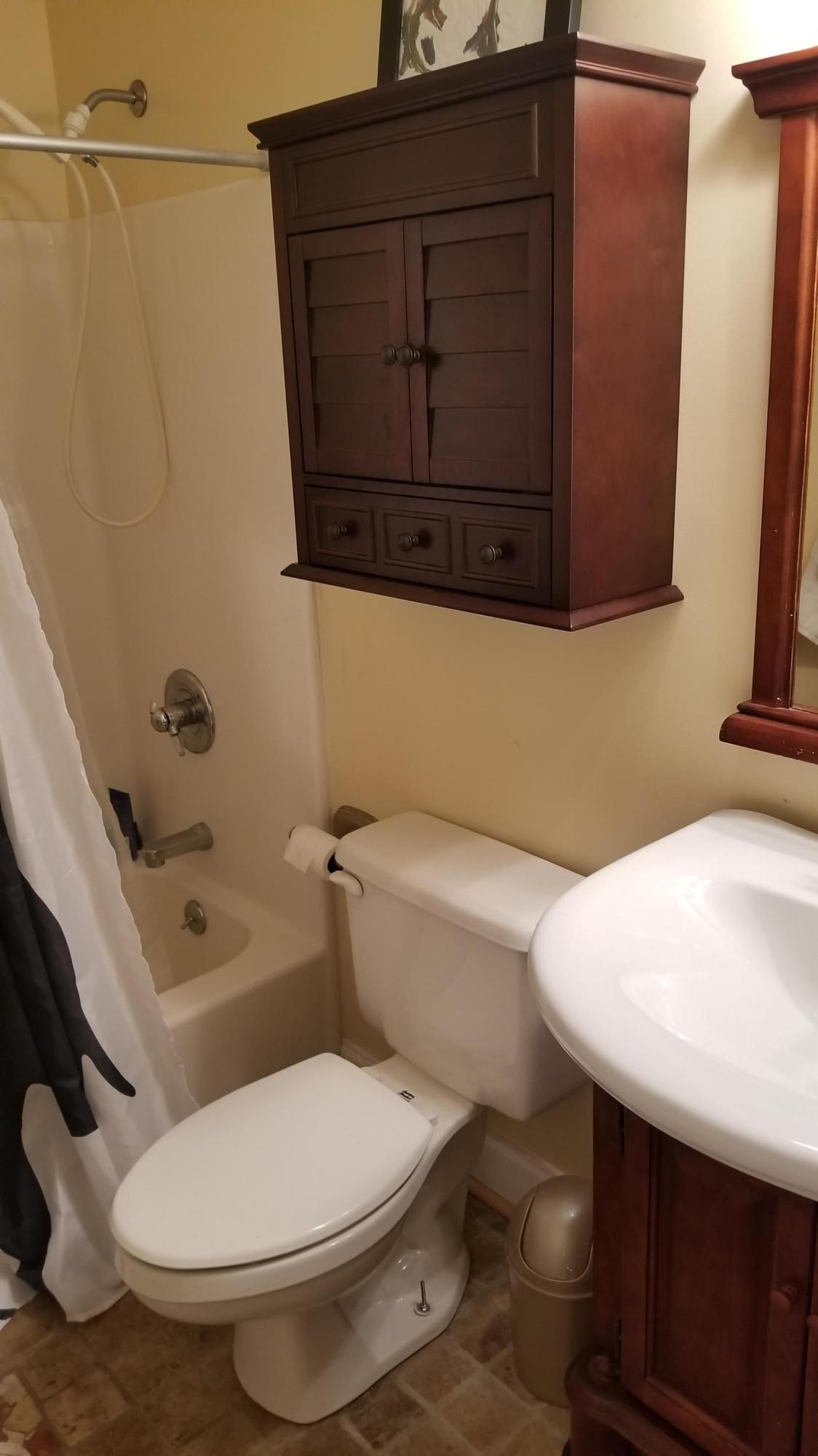 181 Silver Shadow Road Hardy, VA 24101 - Photo 19 of 47 a white toilet sitting next to a bathroom sink