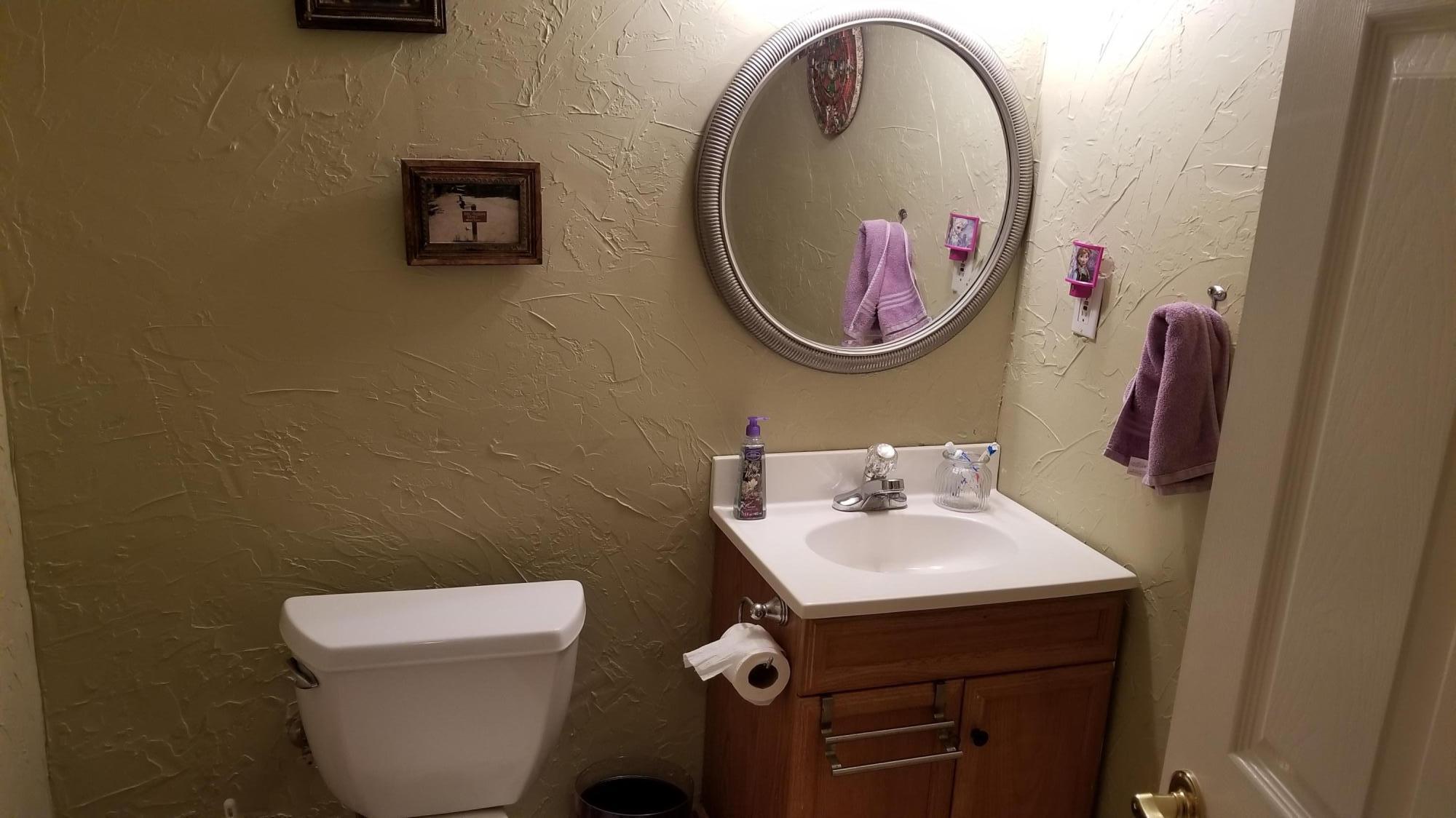 181 Silver Shadow Road Hardy, VA 24101 - Photo 29 of 47 a bathroom with a toilet a sink and a mirror