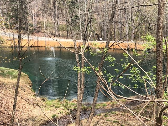 181 Silver Shadow Road Hardy, VA 24101 - Photo 40 of 47 a view of swimming pool