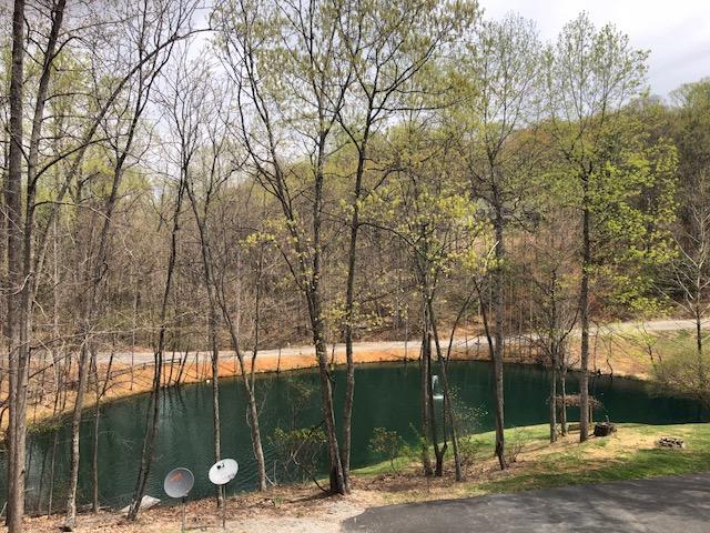 181 Silver Shadow Road Hardy, VA 24101 - Photo 41 of 47 a backyard of a house with lots of green space