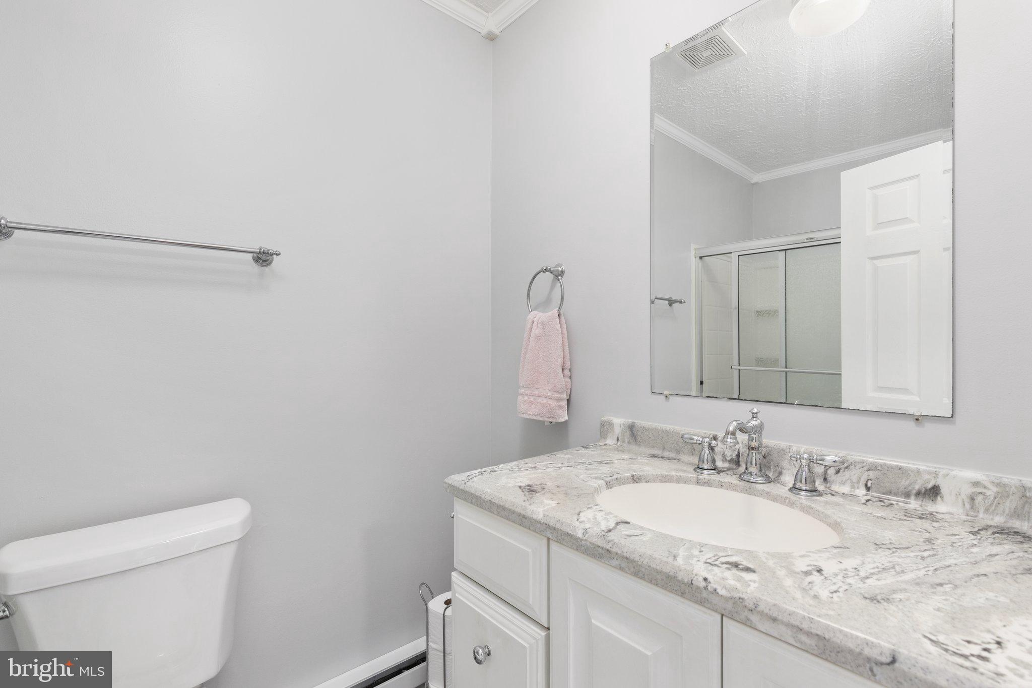 3703 Oranda Road Strasburg, VA 22657 - Photo 19 of 42 Upstairs Hall Bath/Recently updated
