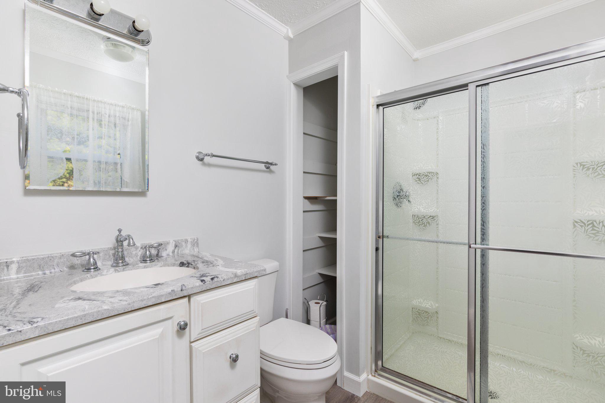 3703 Oranda Road Strasburg, VA 22657 - Photo 24 of 42 Primary Bath/Recently updated