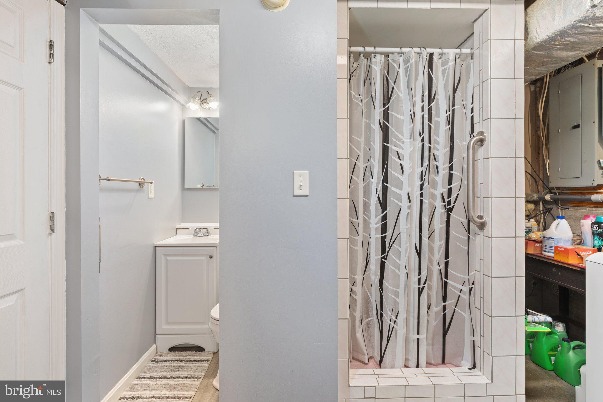 3703 Oranda Road Strasburg, VA 22657 - Photo 28 of 42 Full bath lower level
