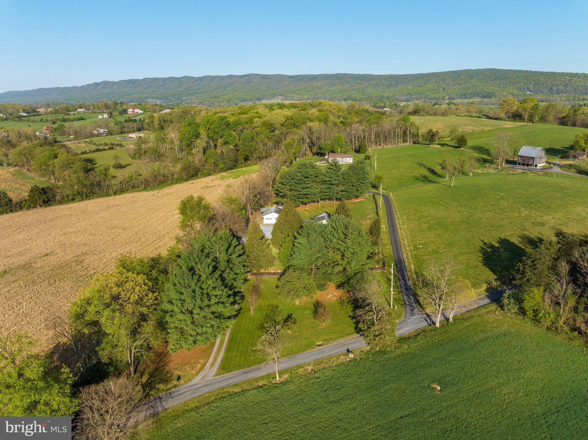 3703 Oranda Road Strasburg, VA 22657 - Photo 35 of 42 Surrounded by farm land