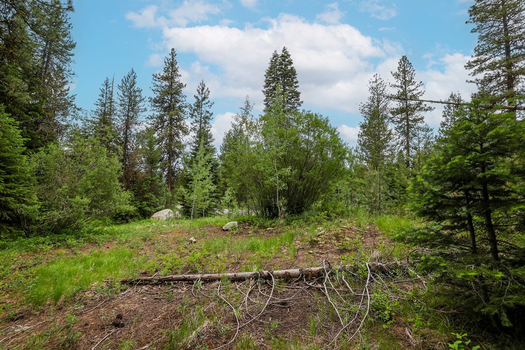 431 Timbercrest Loop, Unit 4 McCall, ID 83638 - Photo 13 of 28