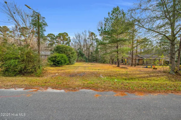 $25,000 | 14 Crabapple Lane, Lake Waccamaw, NC 28450