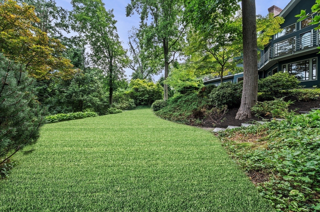 18 Hemlock Road Cambridge, MA 02138 - Photo 6 of 26 a view of a garden