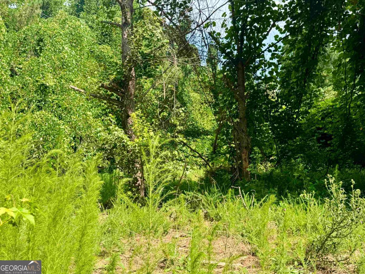 0 Springfield / Turner Road Union Point, GA 30669 - Photo 24 of 34