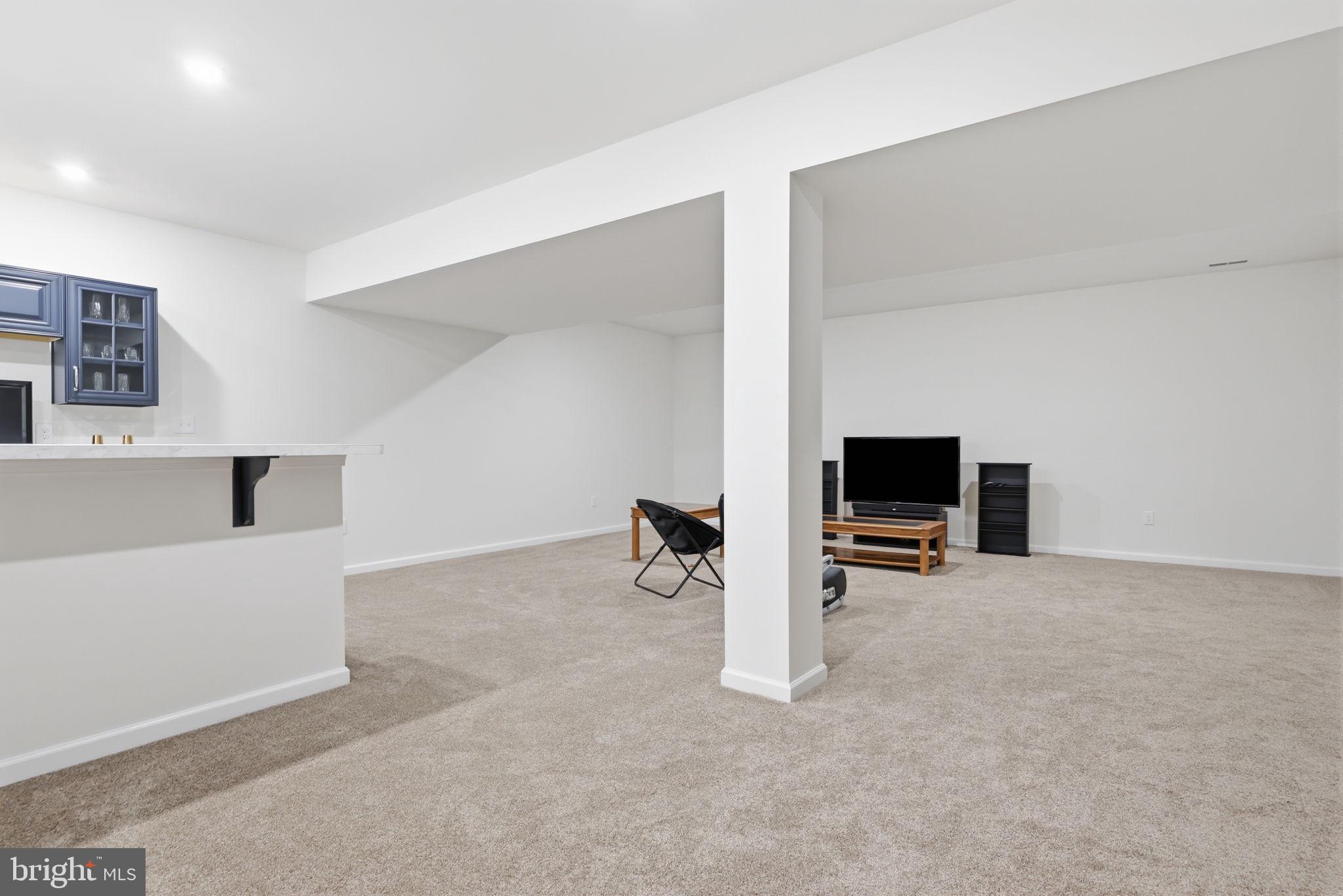 113 Cameron Lane Lititz, PA 17543 - Photo 53 of 79 Finished Basement