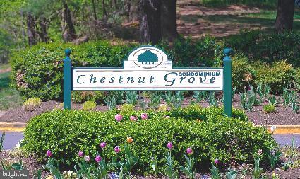 11232 Chestnut Grove Square, Unit 136 Reston, VA 20190 - Photo 2 of 36 Chestnut Grove Community Entrance