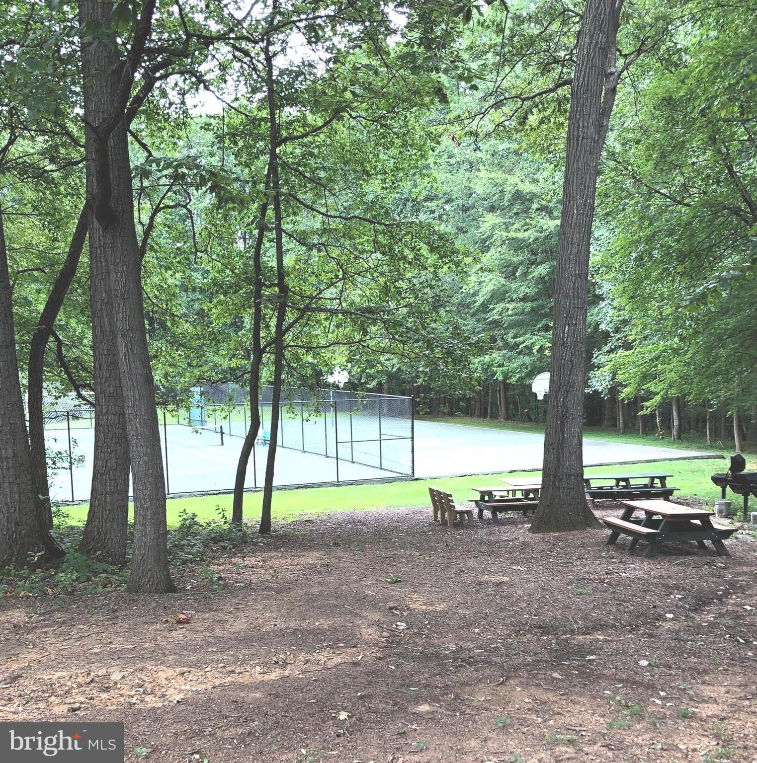 11232 Chestnut Grove Square, Unit 136 Reston, VA 20190 - Photo 13 of 36 Wooded walking paths lead to tennis courts
