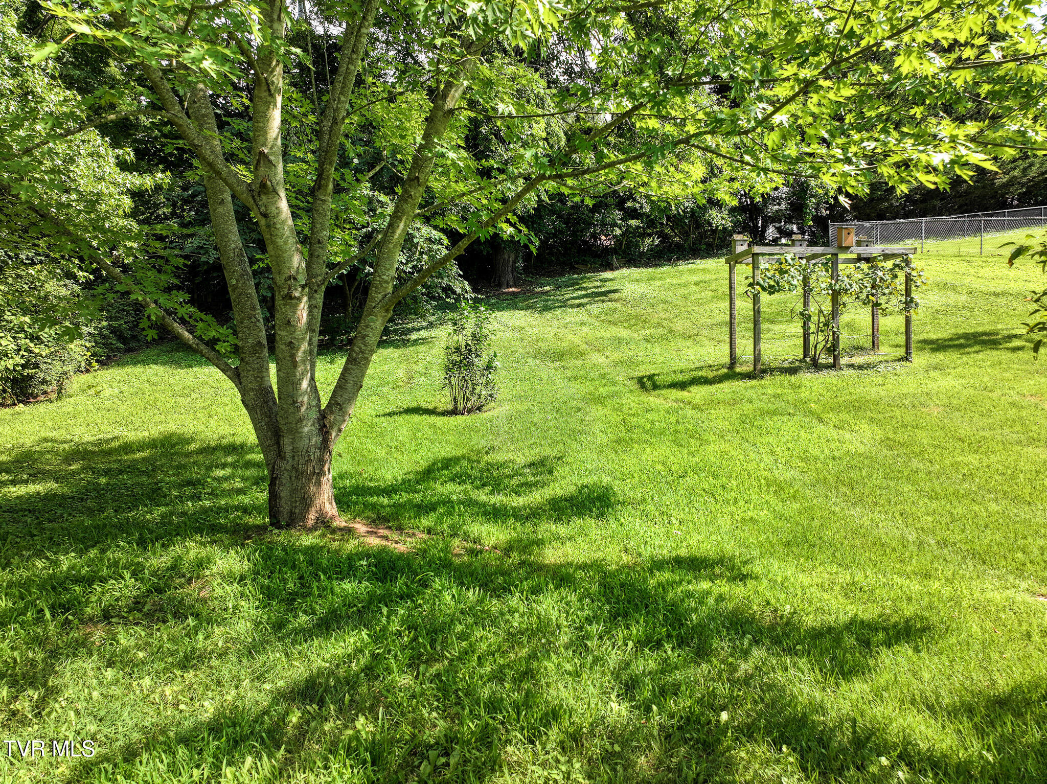 1260 Robinhood Road Greeneville, TN 37745 - Photo 38 of 40 DJI_20250630161539_0321_D