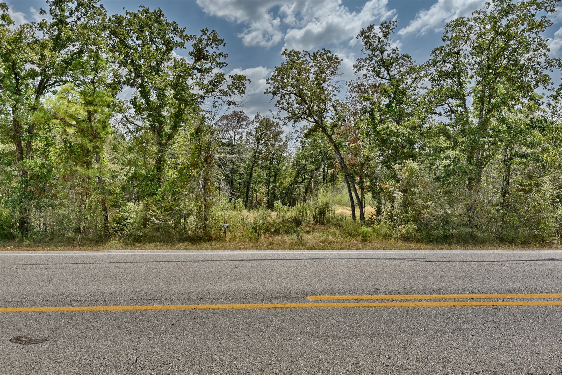 32687 Fm 1736 Road Hempstead, TX 77445 - Photo 16 of 16 a view of a yard and a road