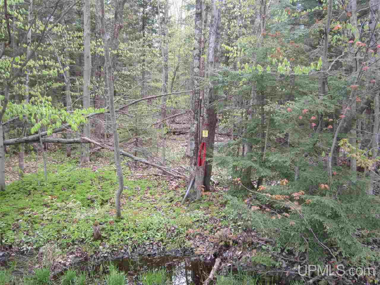 Lot 4 Ridge Road Munising, MI 49862 - Photo 1 of 4 Gallery Image 1