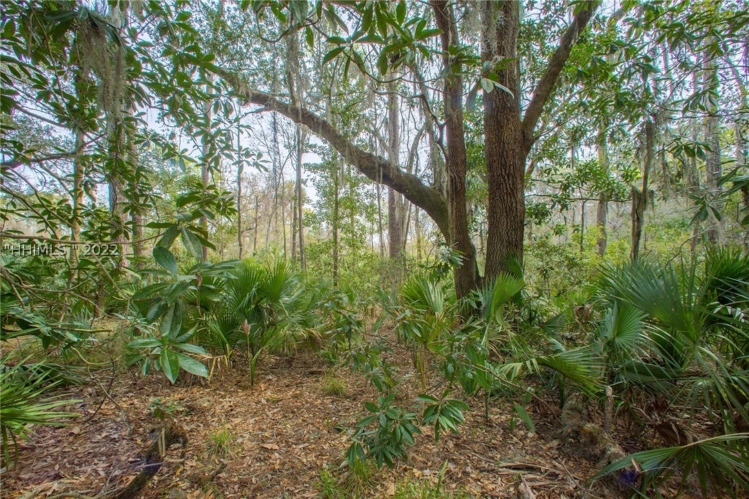 41 Wintercress Road Bluffton, SC 29910 - Photo 1 of 1 Gallery Image 1