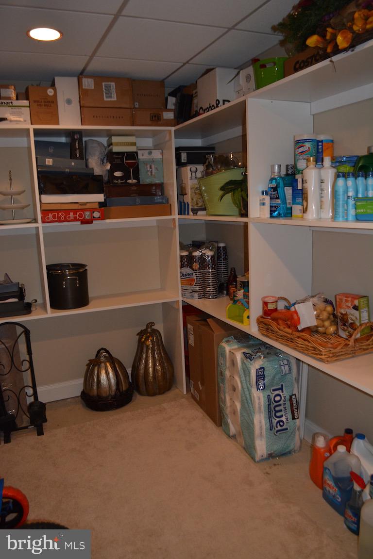 39 Sullivans Bridge Road Wayne, PA 19087 - Photo 22 of 29 Pantry/Storage