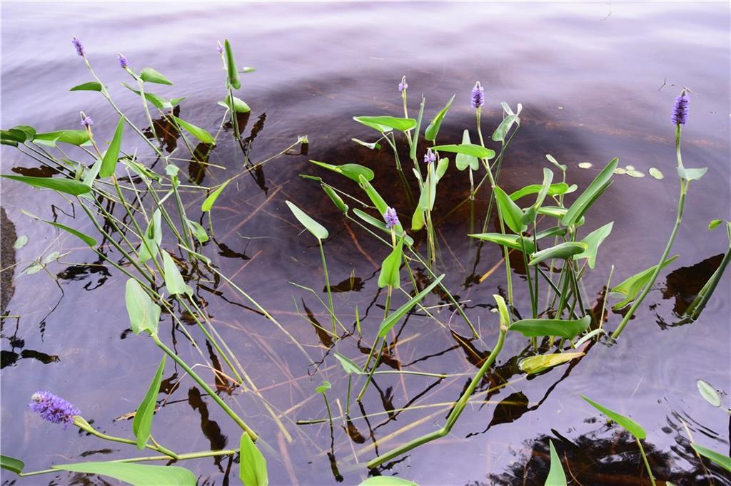 20 C Madagascal Pond Road Burlington, ME 04417 - Photo 14 of 17 Photo