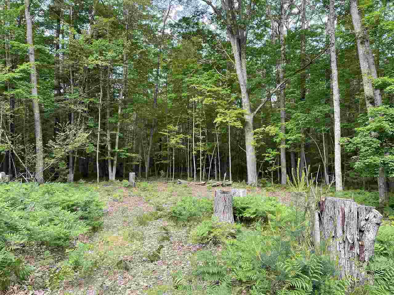 9 Mile Bridge Road Irons, MI 49644 - Photo 10 of 17