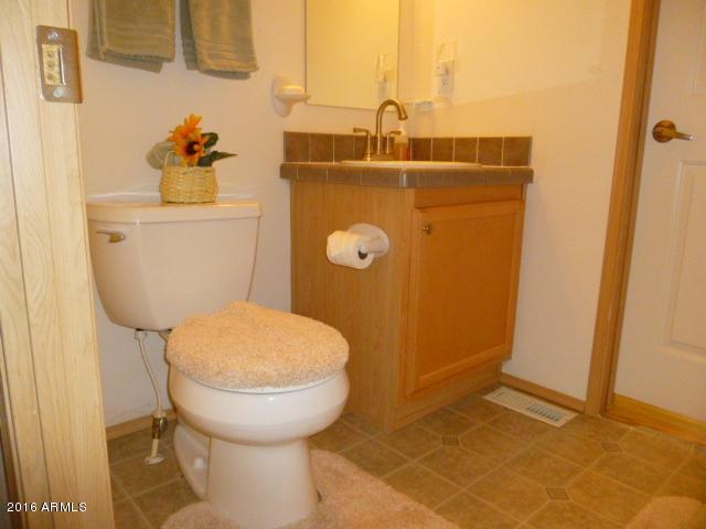 4702 North Razorback Drive Florence, AZ 85132 - Photo 24 of 36 Hall Bathroom