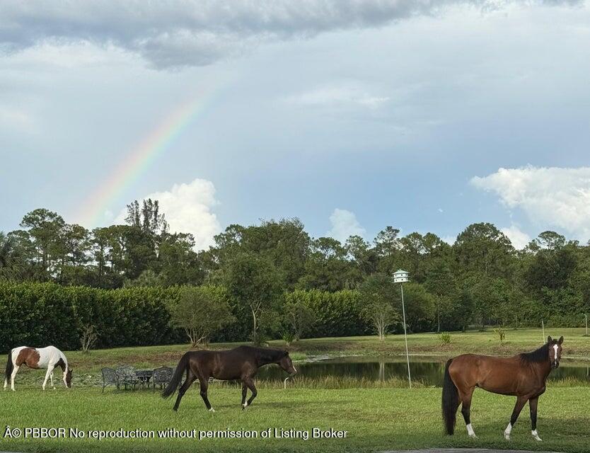 2770 E Road Loxahatchee, FL 33470 - Photo 17 of 51 a view of a garden