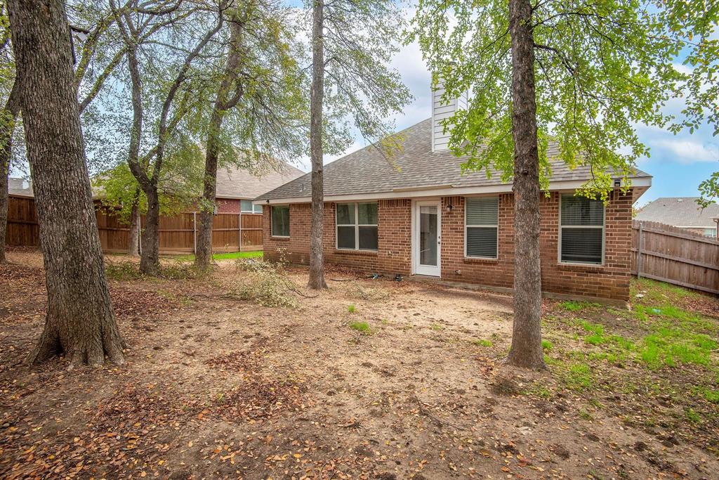 448 Northbrook Avenue Oak Point, TX 75068 - Photo 12 of 12 a backyard of a house with plants and large tree