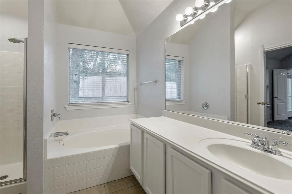 448 Northbrook Avenue Oak Point, TX 75068 - Photo 7 of 12 a bathroom with a tub a sink and a mirror