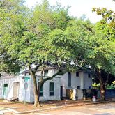 $5,500 | 3500 Audubon Place, Houston, TX 77006