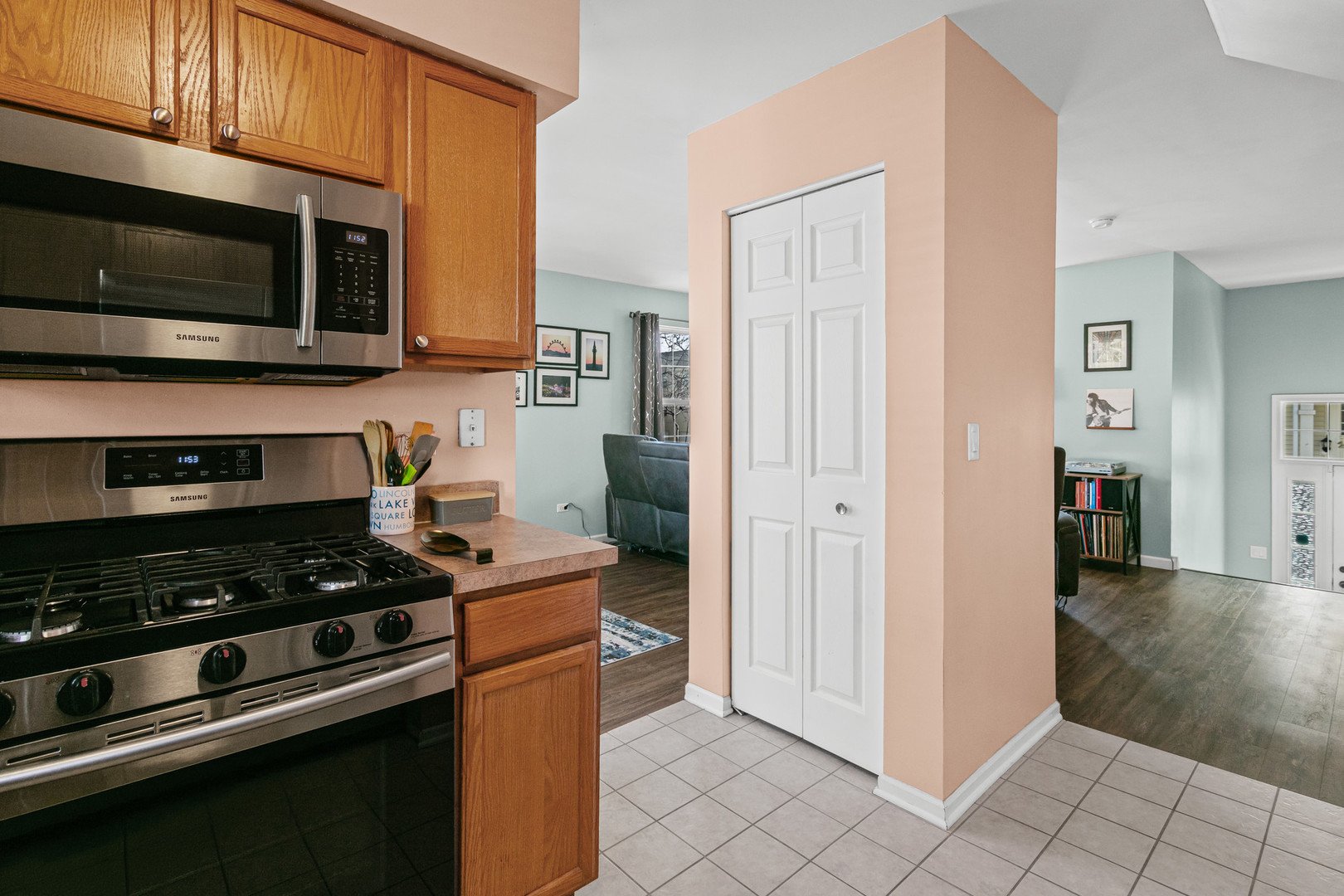 34314 North Barberry Road Round Lake Beach, IL 60073 - Photo 4 of 23