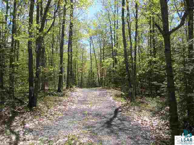 Xxx Leppanen Road Brule, WI 54820 - Photo 1 of 5