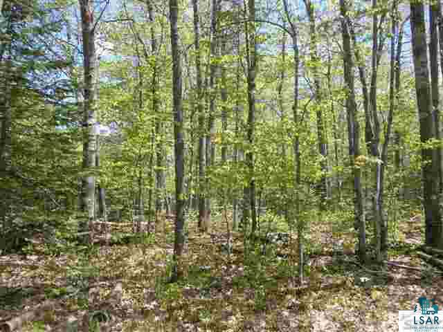 Xxx Leppanen Road Brule, WI 54820 - Photo 2 of 5