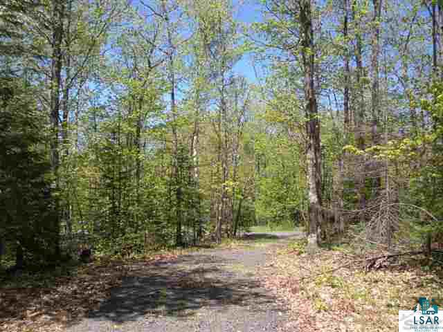 Xxx Leppanen Road Brule, WI 54820 - Photo 3 of 5