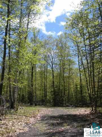 Xxx Leppanen Road Brule, WI 54820 - Photo 4 of 5