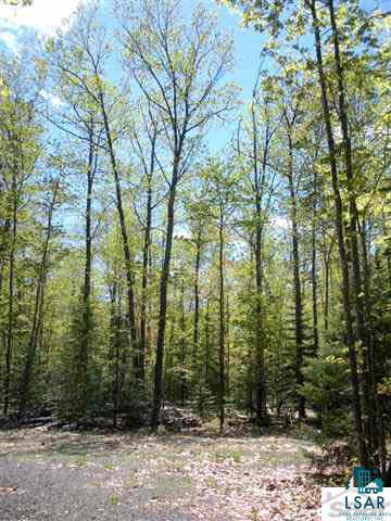 Xxx Leppanen Road Brule, WI 54820 - Photo 5 of 5