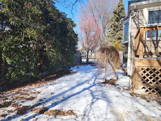 a view of backyard space