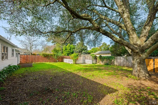 a view of a backyard with a garden and plants