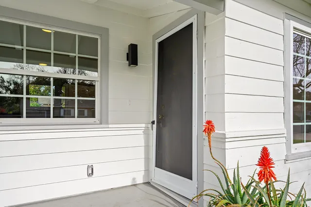 a view of front door and potted plant