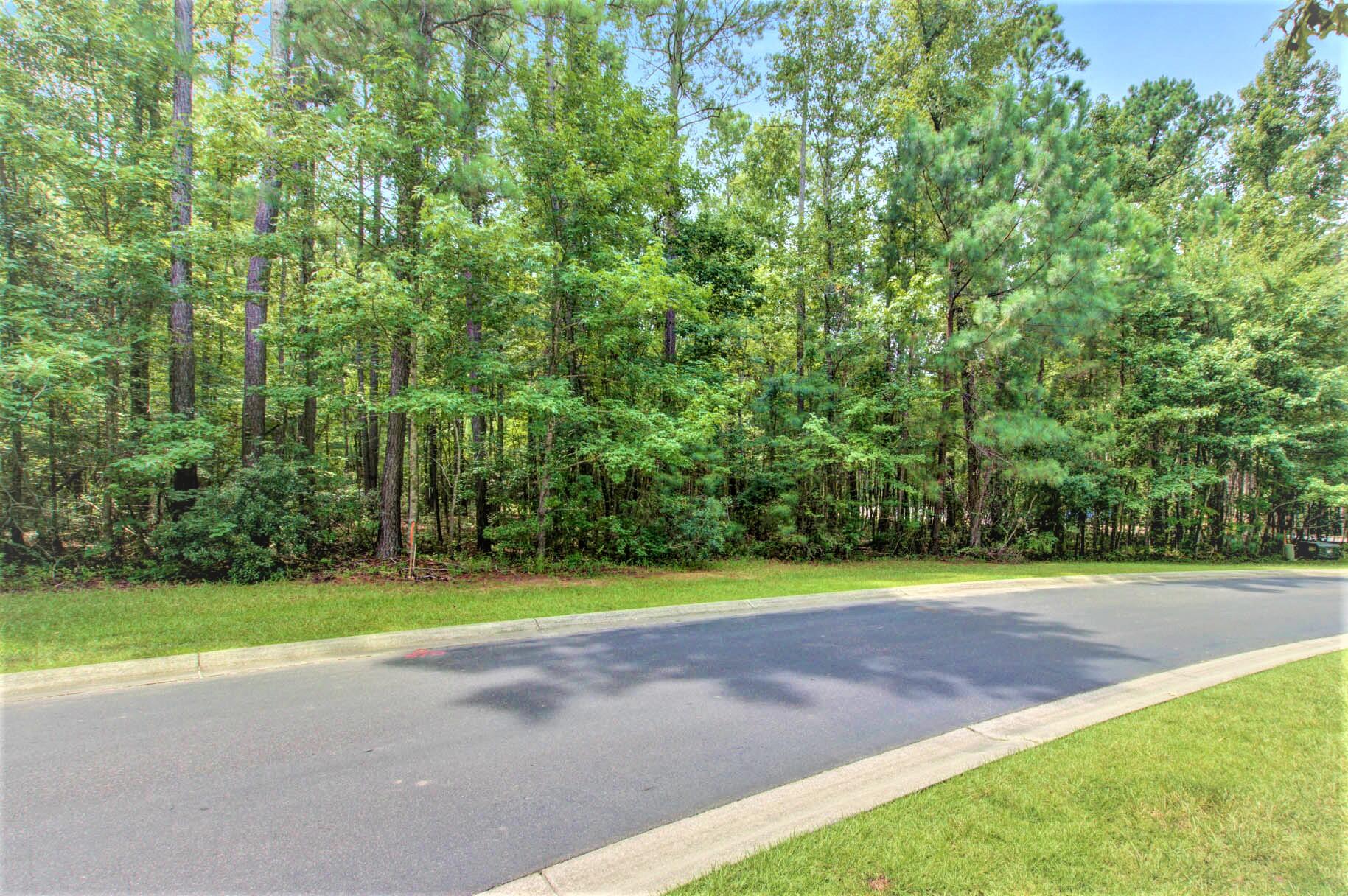 2094 Briar Bend Road Ridgeville, SC 29472 - Photo 2 of 13 Lot 18 - Briar Bend Road