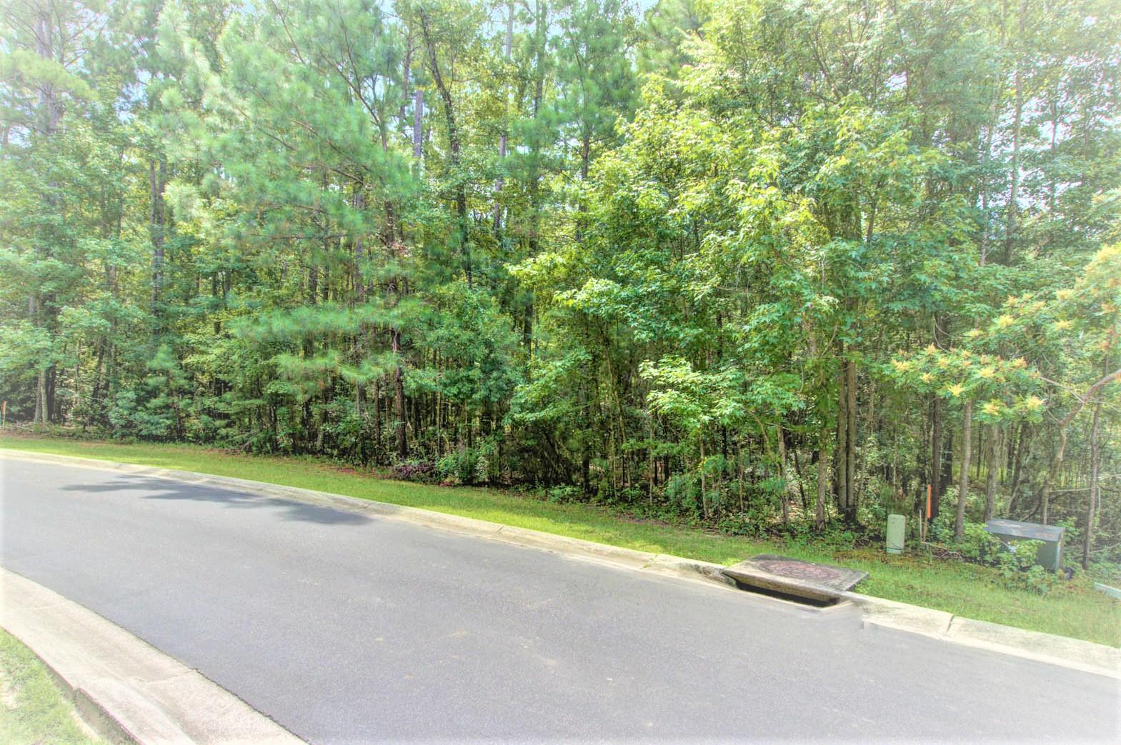 2094 Briar Bend Road Ridgeville, SC 29472 - Photo 3 of 13 Lot 18 - On a slight bend
