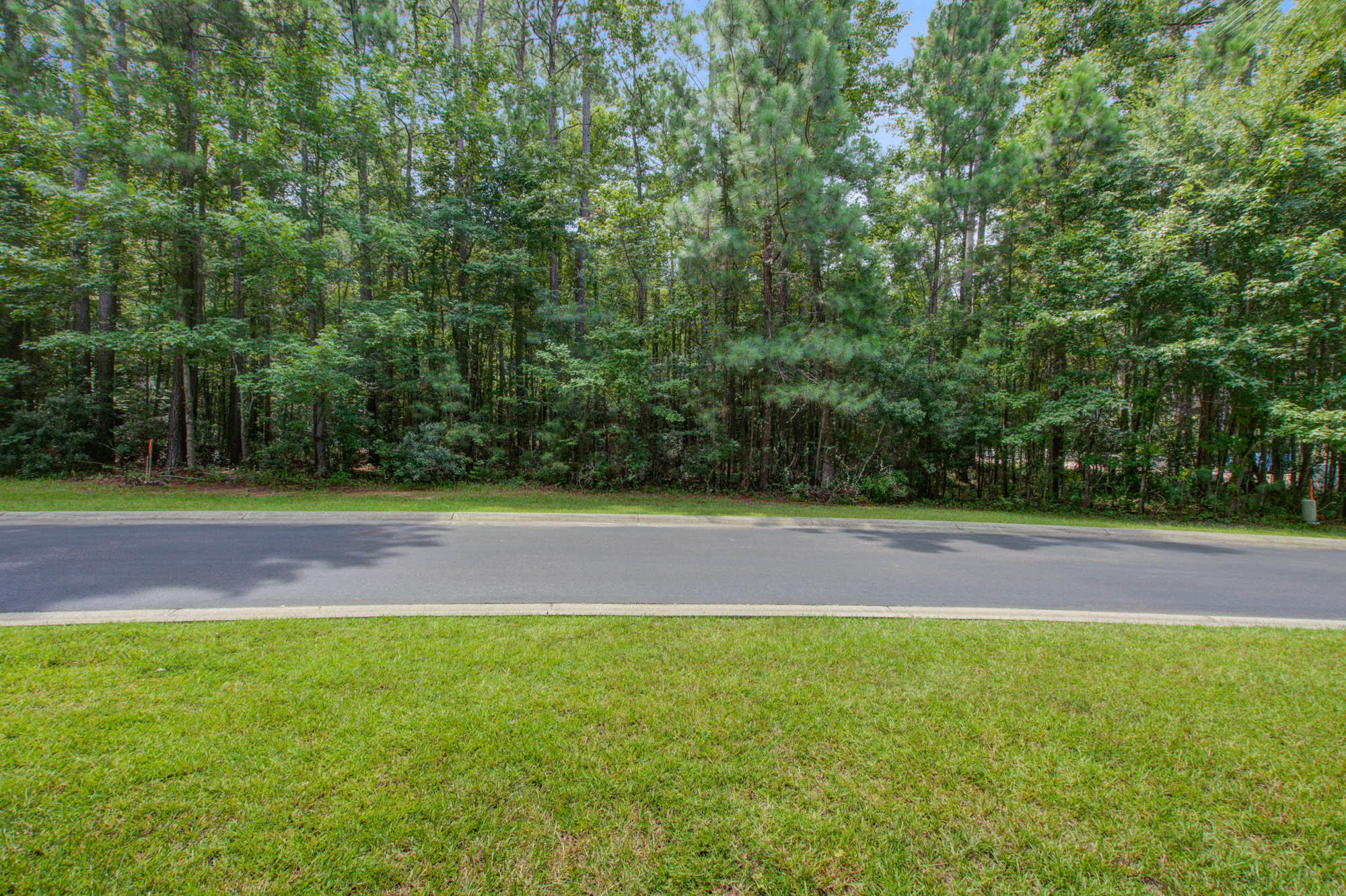 2094 Briar Bend Road Ridgeville, SC 29472 - Photo 4 of 13 Lot 18 - Front Street View