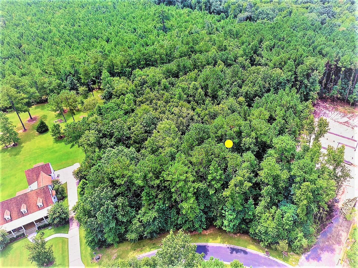 2094 Briar Bend Road Ridgeville, SC 29472 - Photo 5 of 13 Over View of Lot 18 . marked