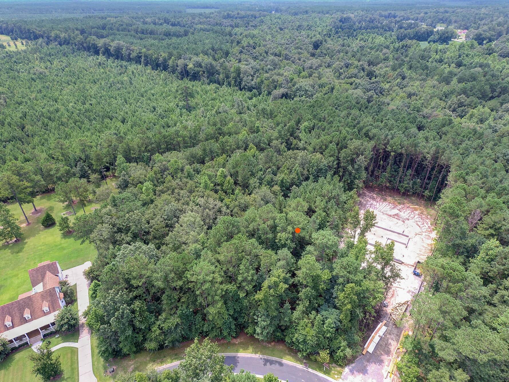 2094 Briar Bend Road Ridgeville, SC 29472 - Photo 6 of 13 Lot 18 - to left side of cleared lot