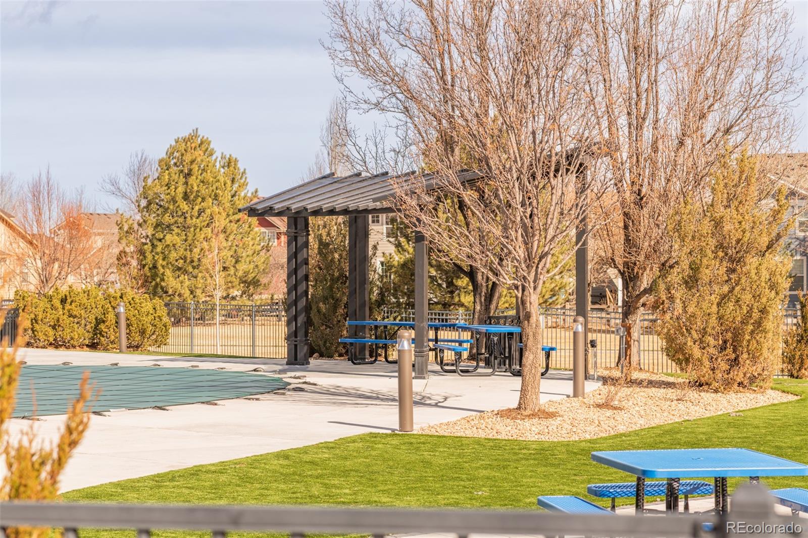 1150 Mircos Street Erie, CO 80516 - Photo 34 of 46
