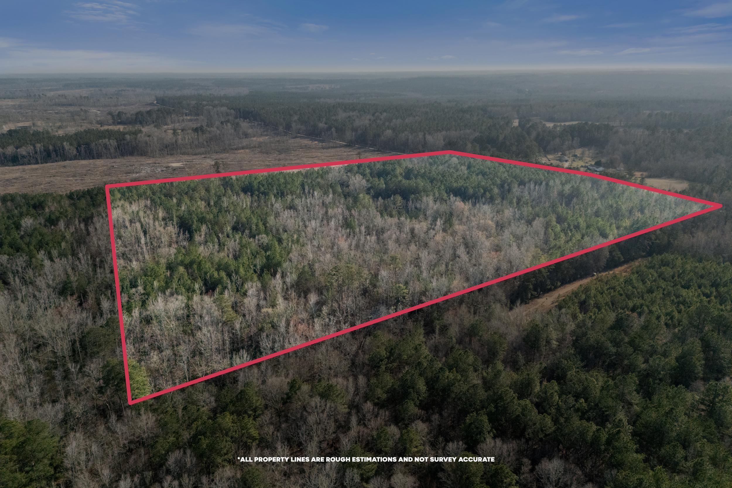 1816 Sterling Gibson Road Thomson, GA 30824 - Photo 13 of 28 2026-03-04_1816_sterling_gibson_rd-srm-0