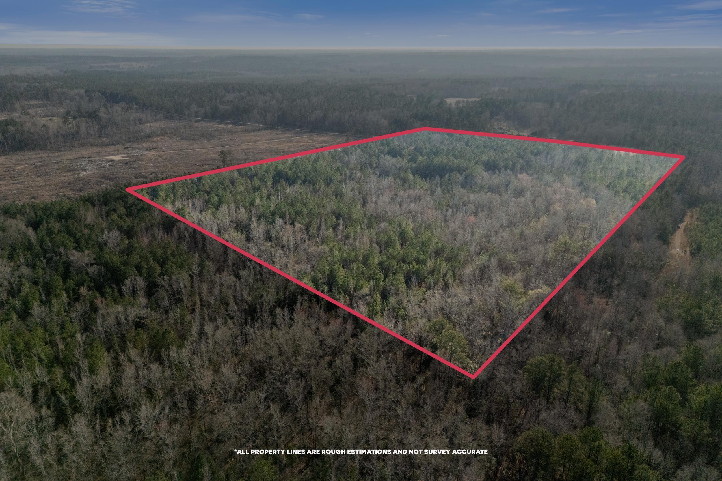 1816 Sterling Gibson Road Thomson, GA 30824 - Photo 15 of 28 2026-03-04_1816_sterling_gibson_rd-srm-1