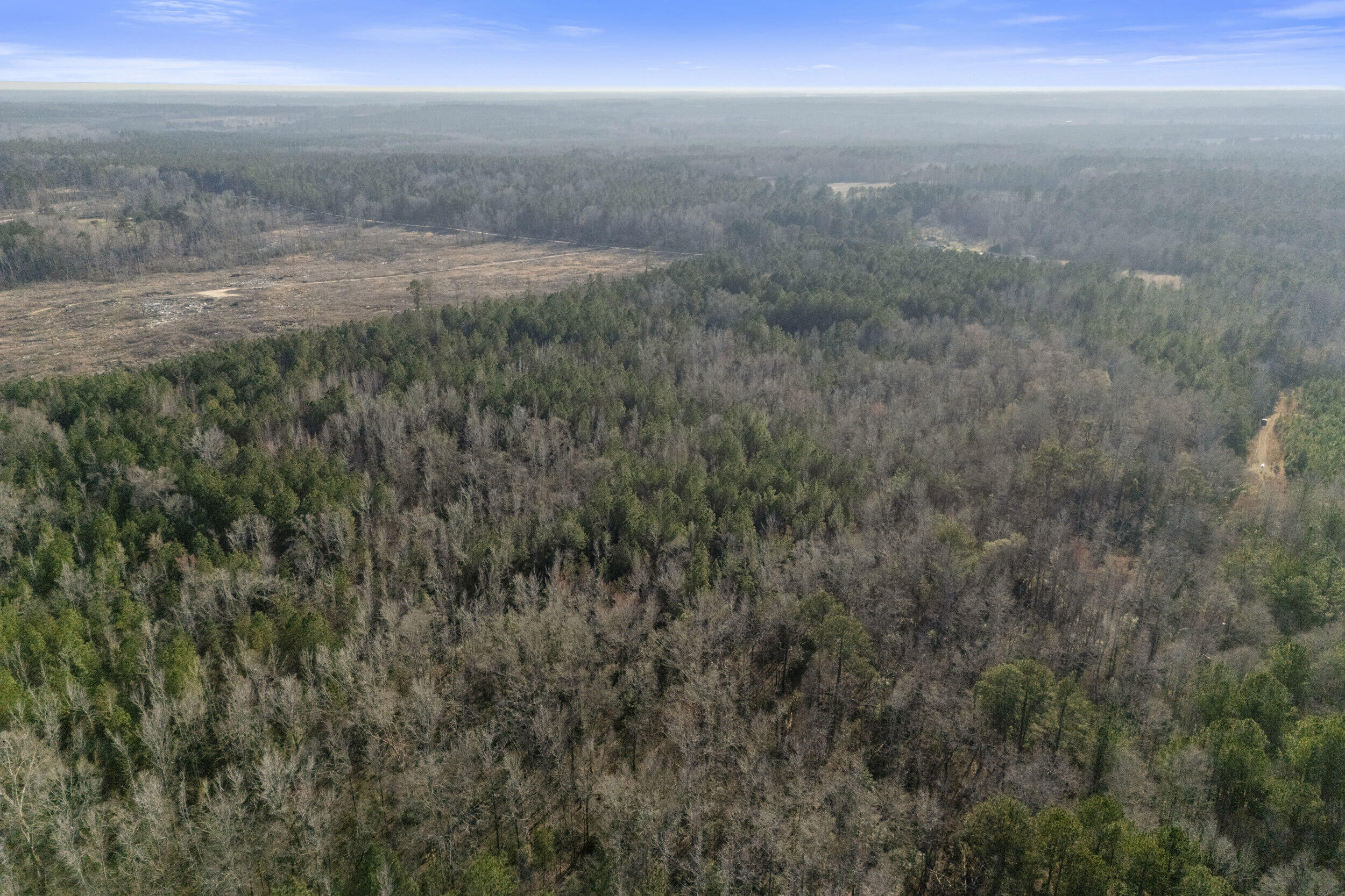 1816 Sterling Gibson Road Thomson, GA 30824 - Photo 16 of 28 2026-03-04_1816_sterling_gibson_rd-srm-1