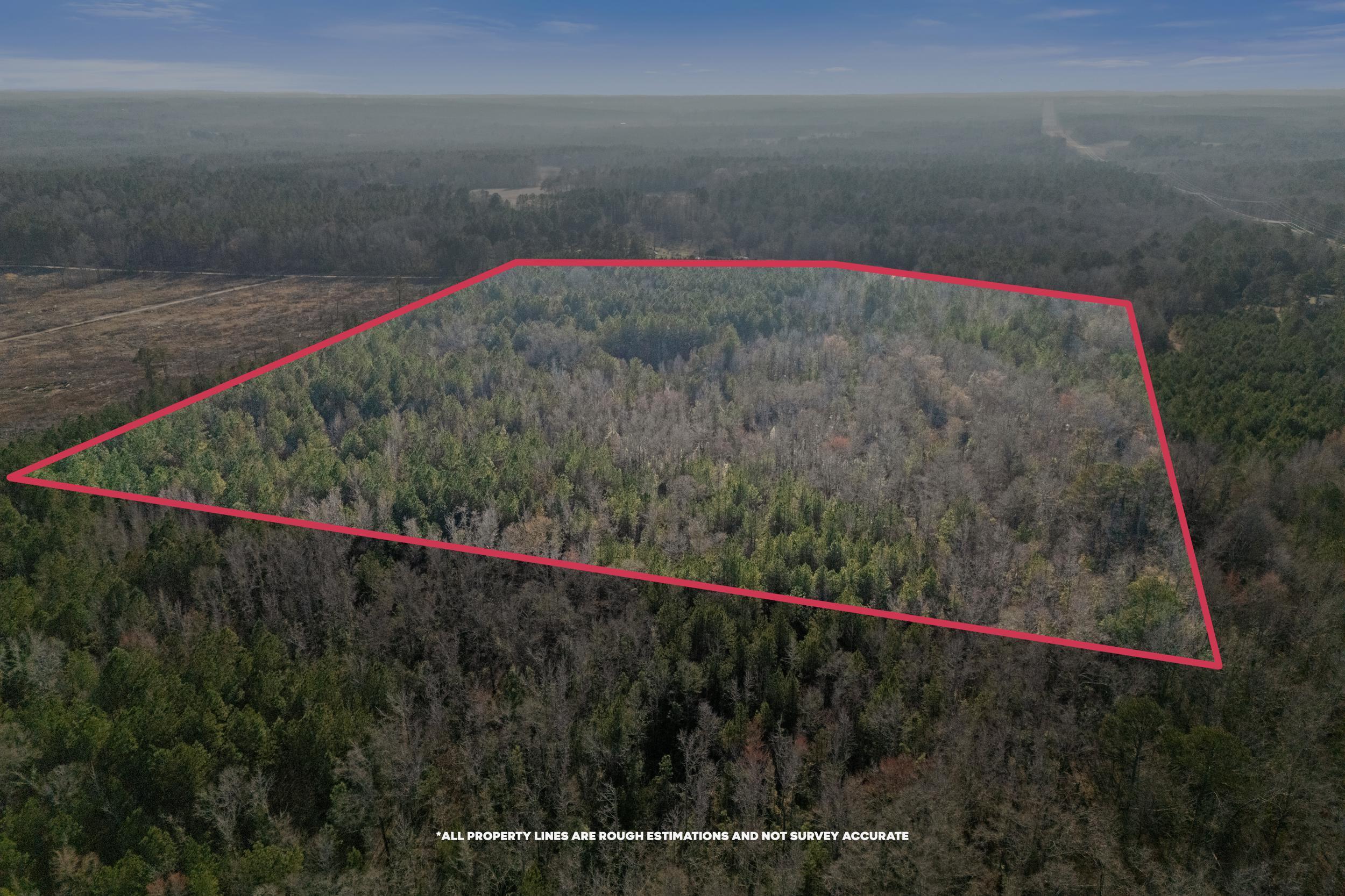 1816 Sterling Gibson Road Thomson, GA 30824 - Photo 17 of 28 2026-03-04_1816_sterling_gibson_rd-srm-1