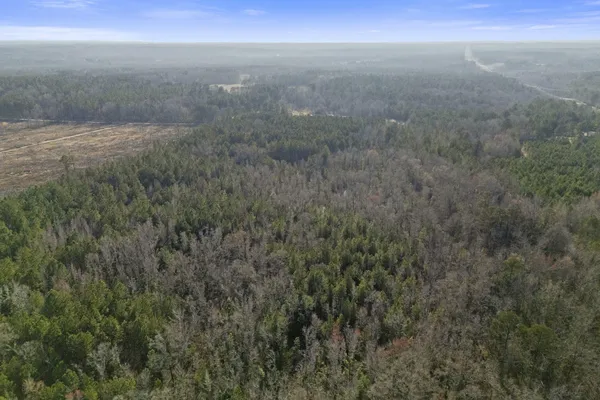 $320,000 | 1816 Sterling Gibson Road, Thomson, GA 30824