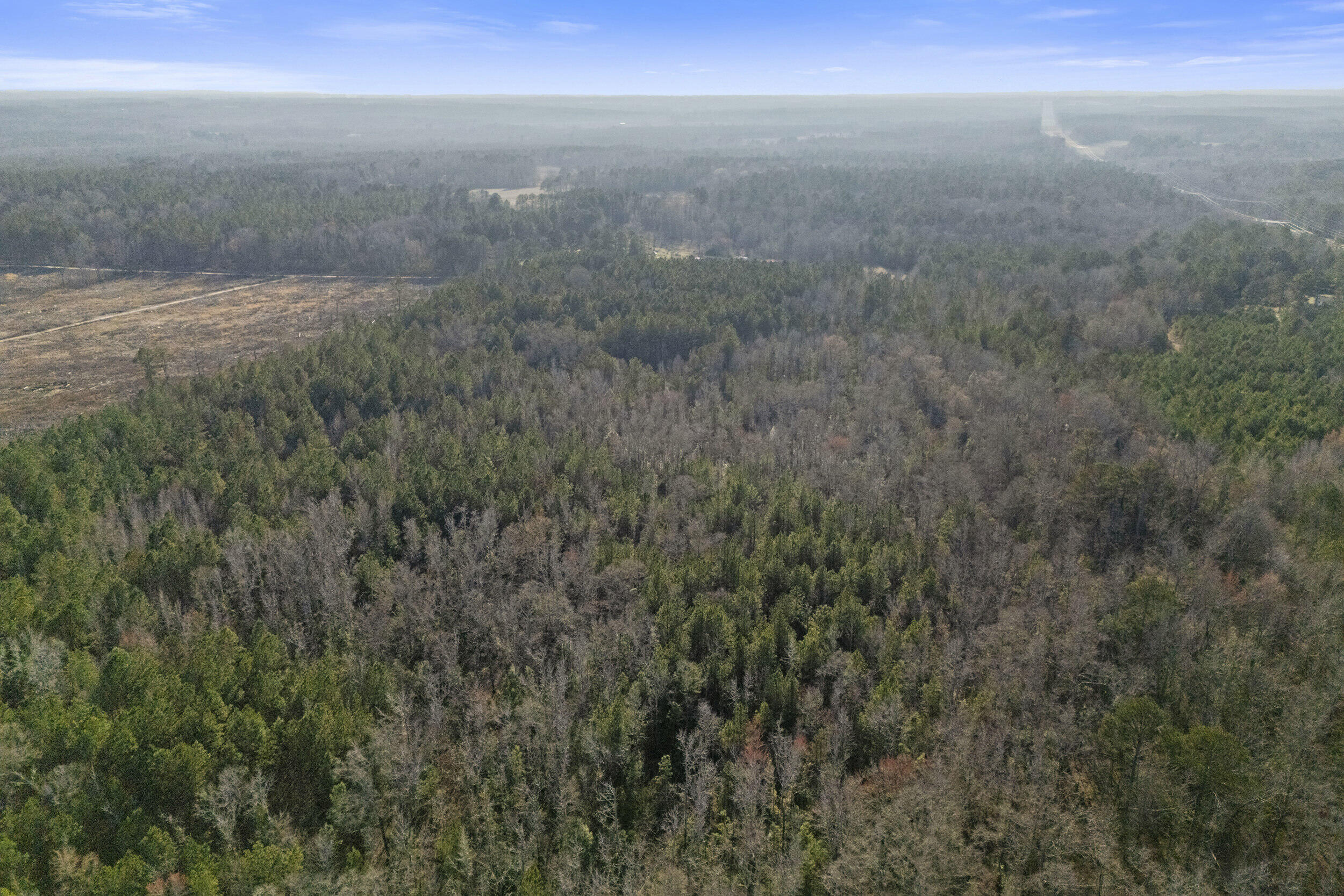 1816 Sterling Gibson Road Thomson, GA 30824 - Photo 18 of 28 2026-03-04_1816_sterling_gibson_rd-srm-1